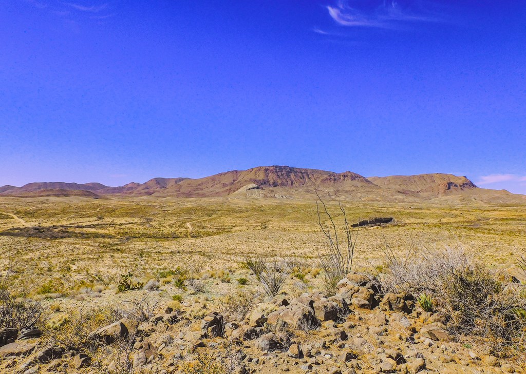 21274 Feldspar St, Terlingua, Texas image 33