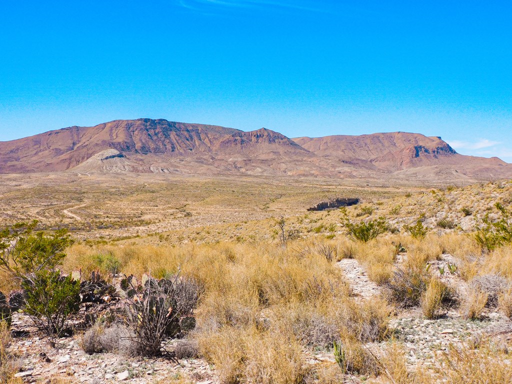 21274 Feldspar St, Terlingua, Texas image 11