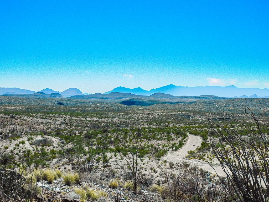 21274 Feldspar St, Terlingua, Texas image 43