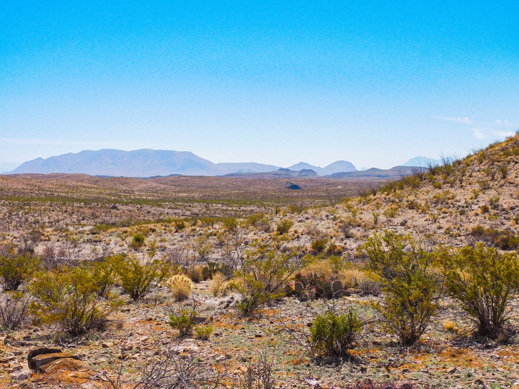 21274 Feldspar St, Terlingua, Texas image 8