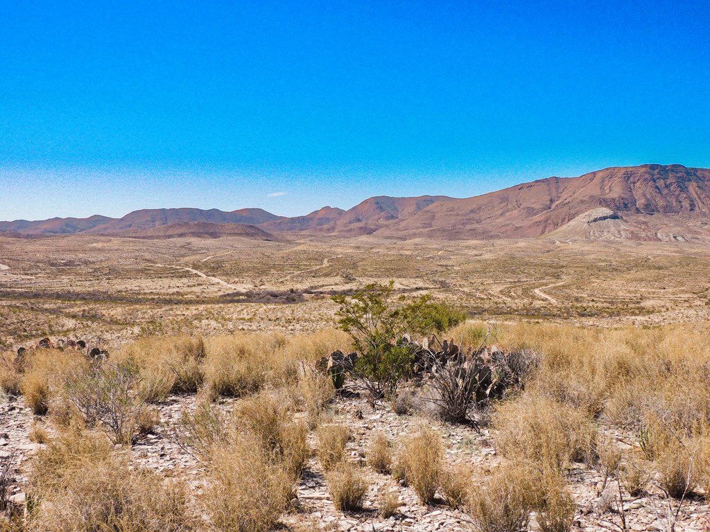 21274 Feldspar St, Terlingua, Texas image 13