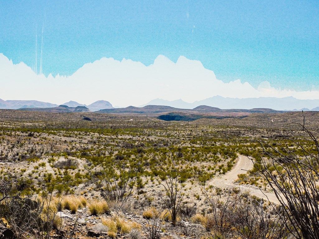 21274 Feldspar St, Terlingua, Texas image 45