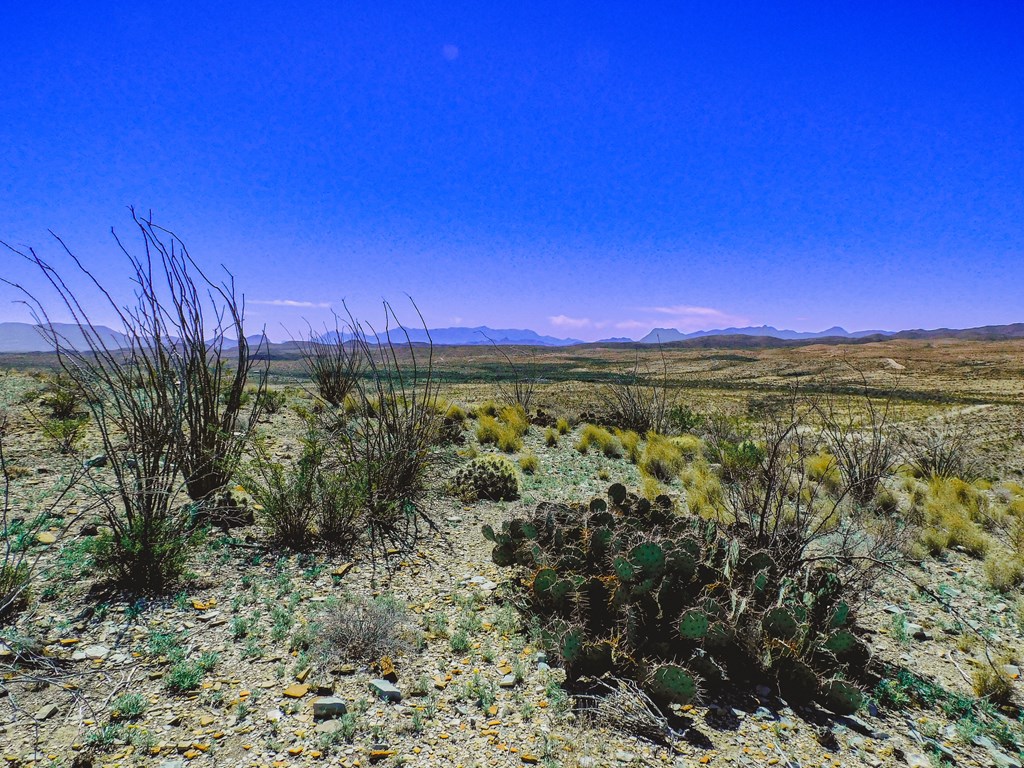 21274 Feldspar St, Terlingua, Texas image 35