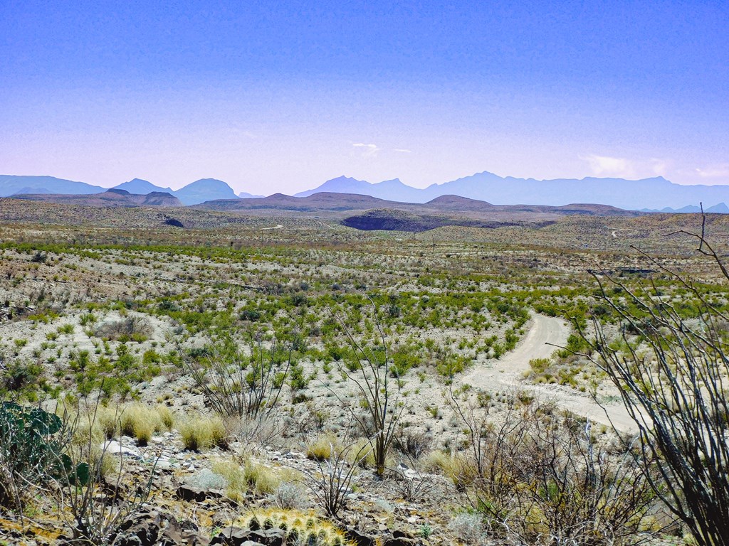 21274 Feldspar St, Terlingua, Texas image 42