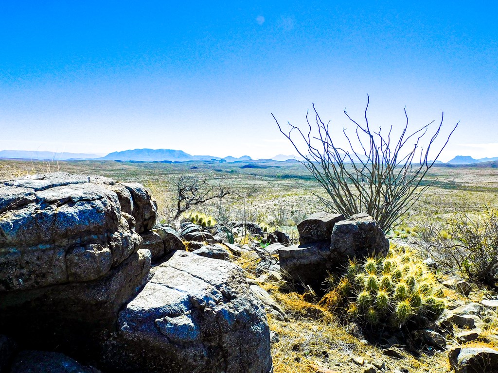 21274 Feldspar St, Terlingua, Texas image 26