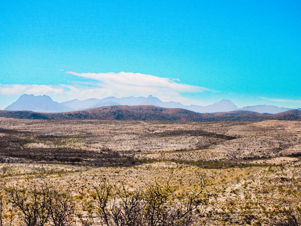 21274 Feldspar St, Terlingua, Texas image 14