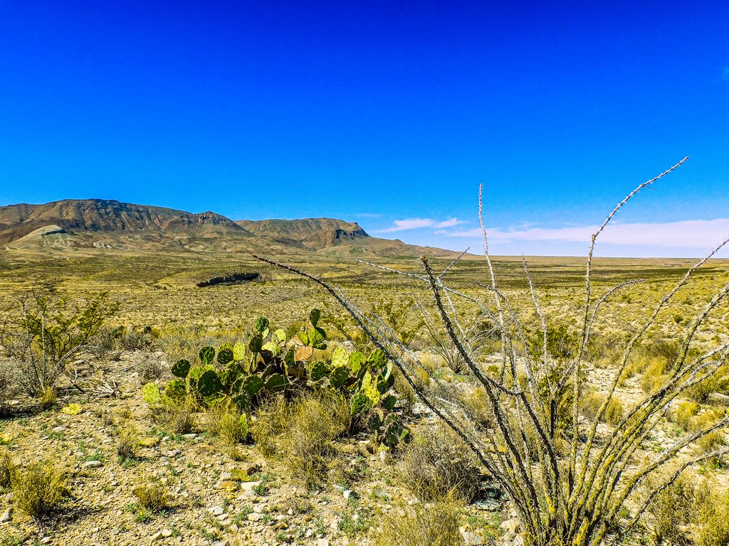 21274 Feldspar St, Terlingua, Texas image 38