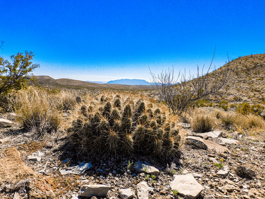 21274 Feldspar St, Terlingua, Texas image 10