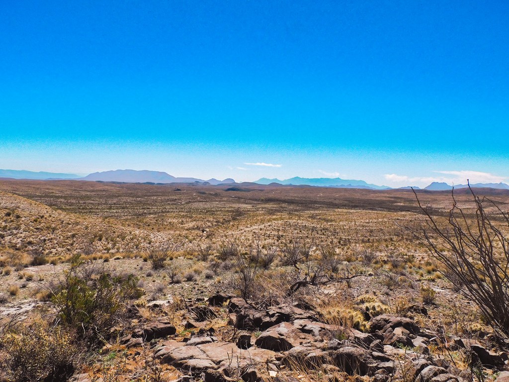 21274 Feldspar St, Terlingua, Texas image 30