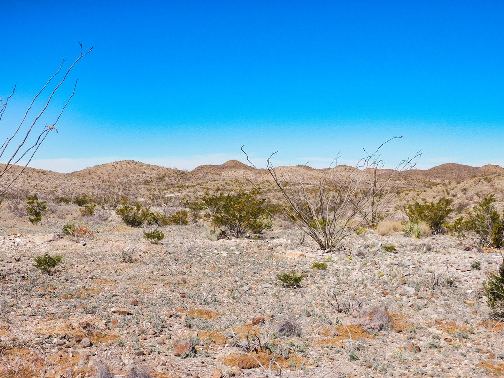 21274 Feldspar St, Terlingua, Texas image 9