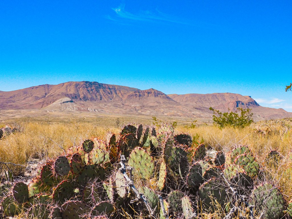 21274 Feldspar St, Terlingua, Texas image 4