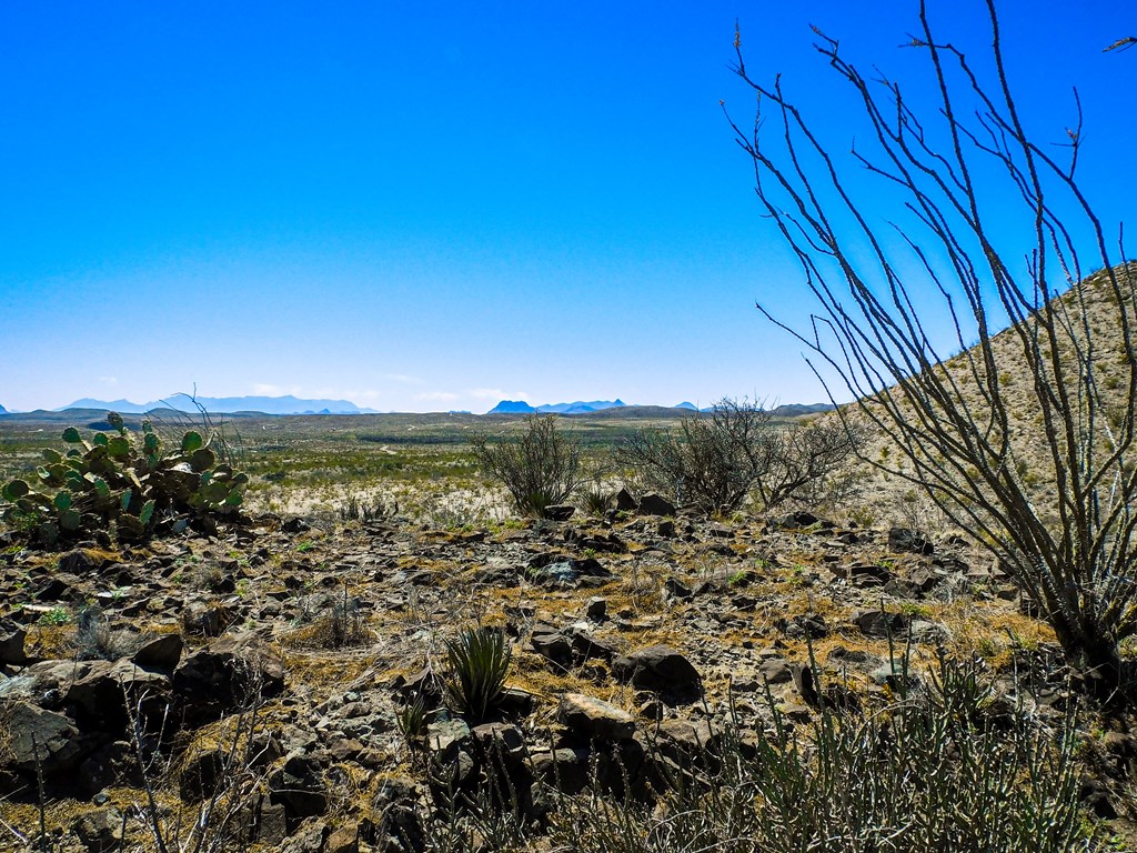 21274 Feldspar St, Terlingua, Texas image 39