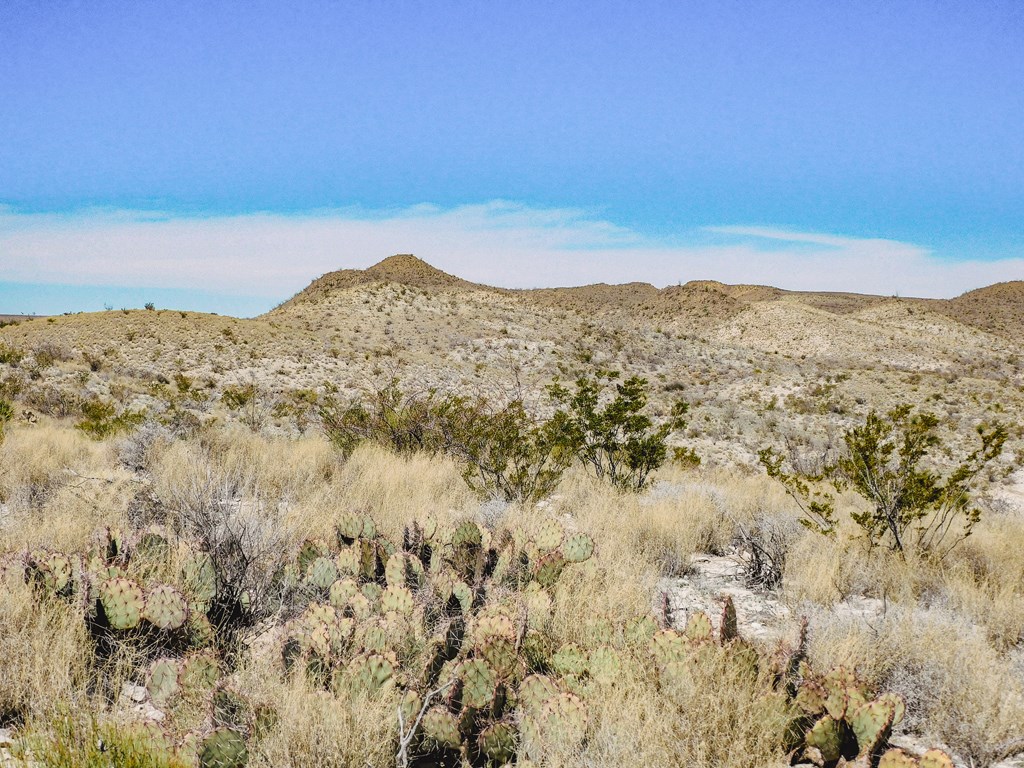 21274 Feldspar St, Terlingua, Texas image 21