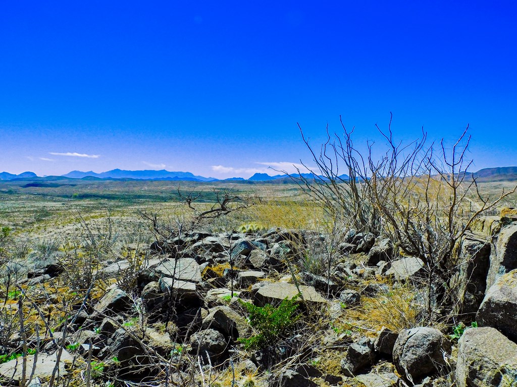 21274 Feldspar St, Terlingua, Texas image 28