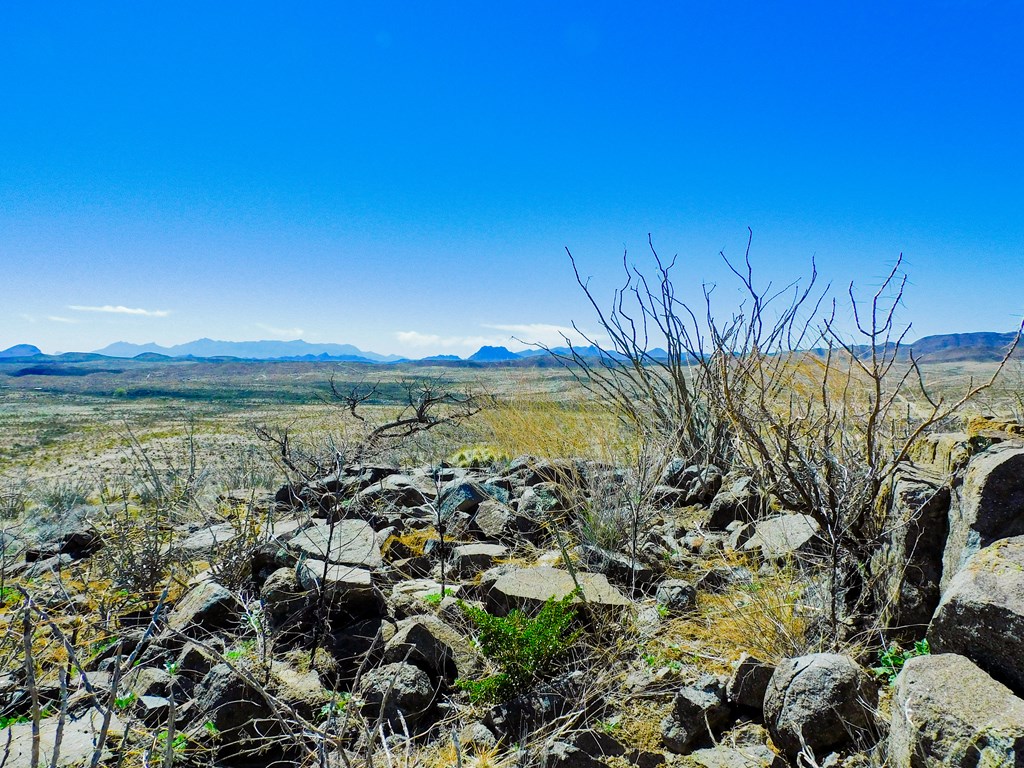 21274 Feldspar St, Terlingua, Texas image 27