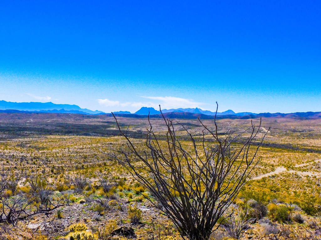 21274 Feldspar St, Terlingua, Texas image 32