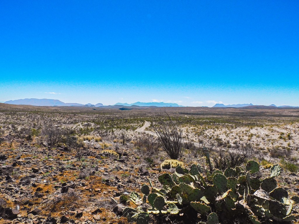 21274 Feldspar St, Terlingua, Texas image 44