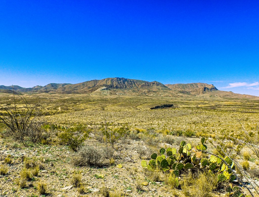 21274 Feldspar St, Terlingua, Texas image 37