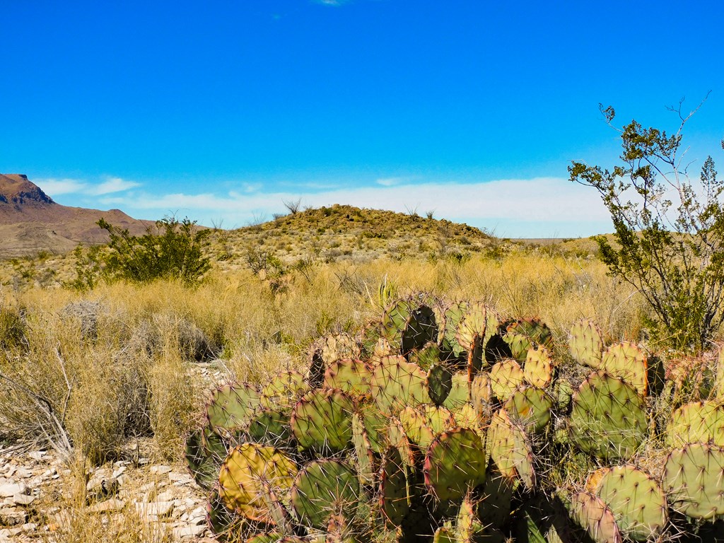 21274 Feldspar St, Terlingua, Texas image 22