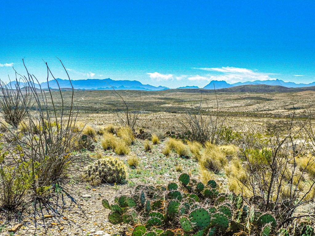 21274 Feldspar St, Terlingua, Texas image 36