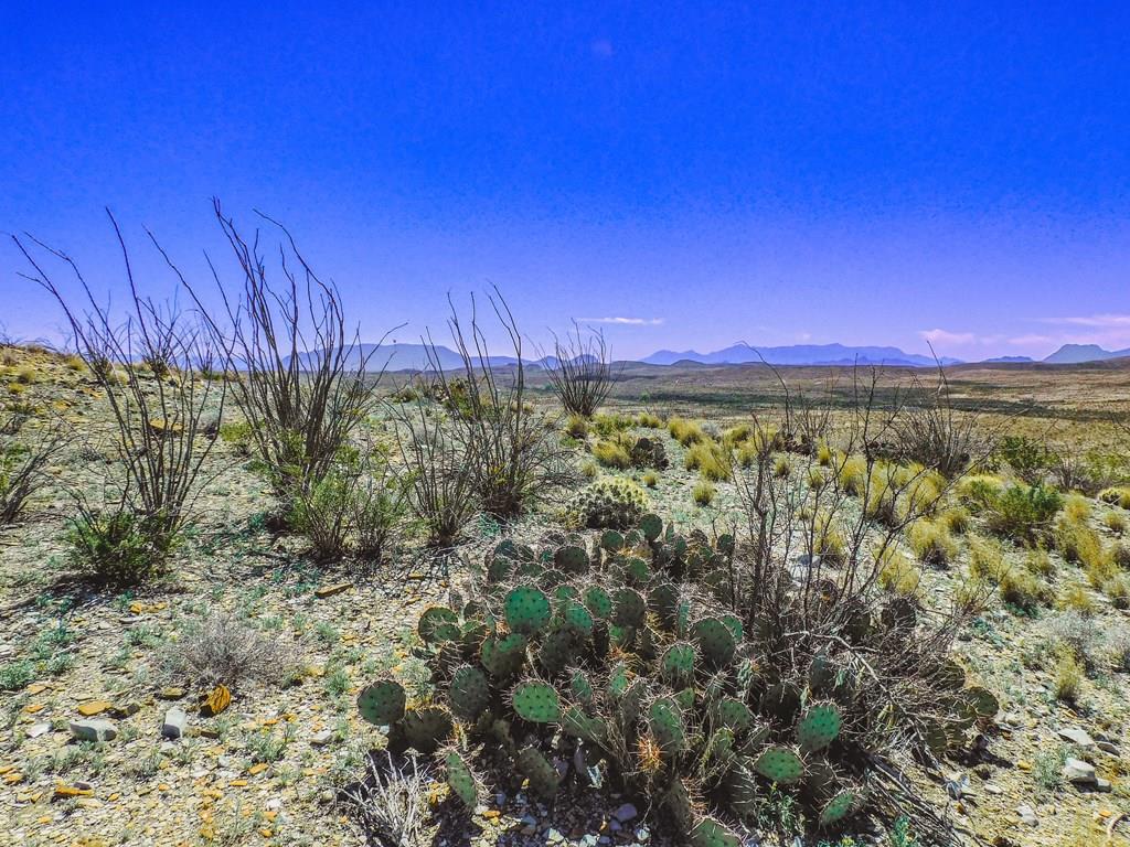 21274 Feldspar St, Terlingua, Texas image 1