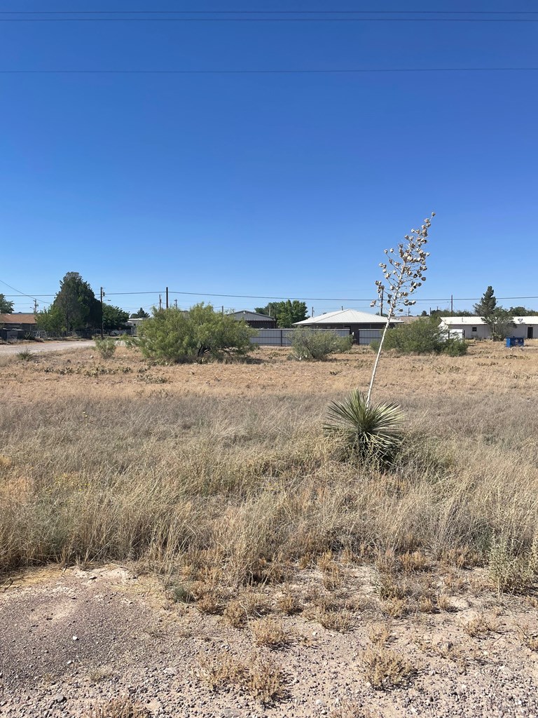 1212 W Madrid St, Marfa, Texas image 8