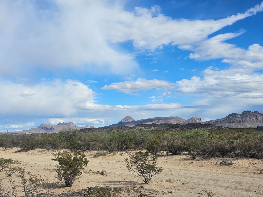 NC 777 Starry Night, Terlingua, Texas image 10