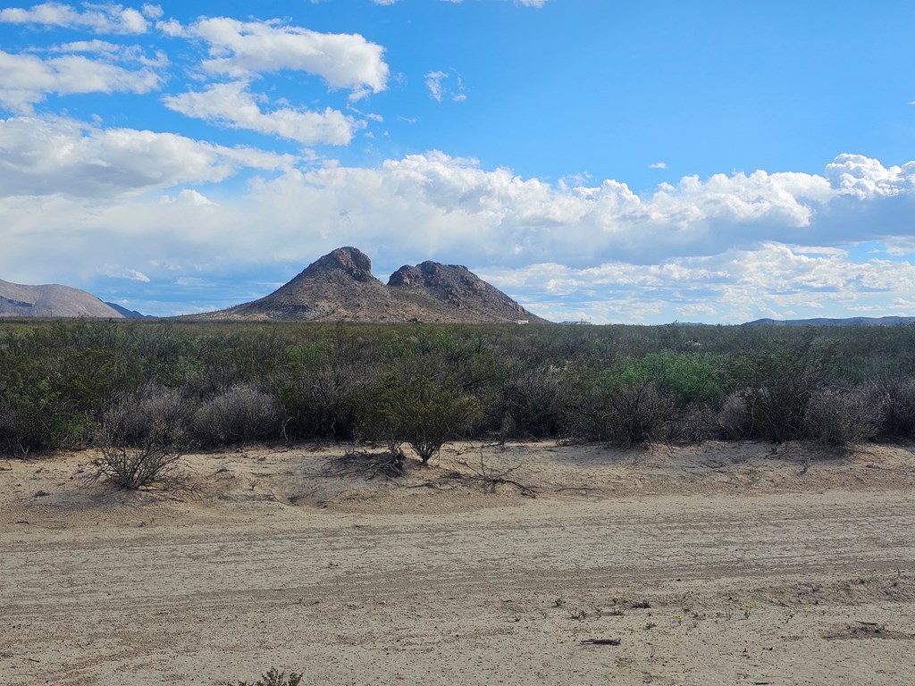 NC 777 Starry Night, Terlingua, Texas image 5