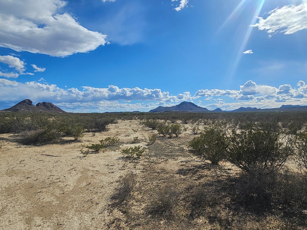 NC 777 Starry Night, Terlingua, Texas image 6