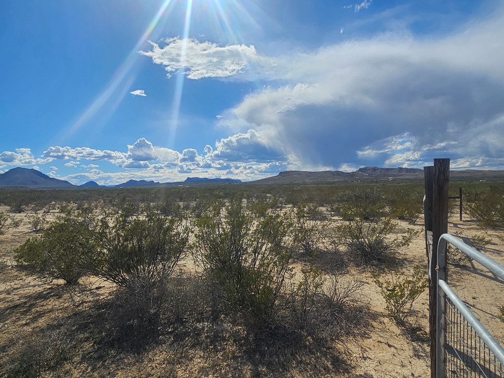 NC 777 Starry Night, Terlingua, Texas image 14