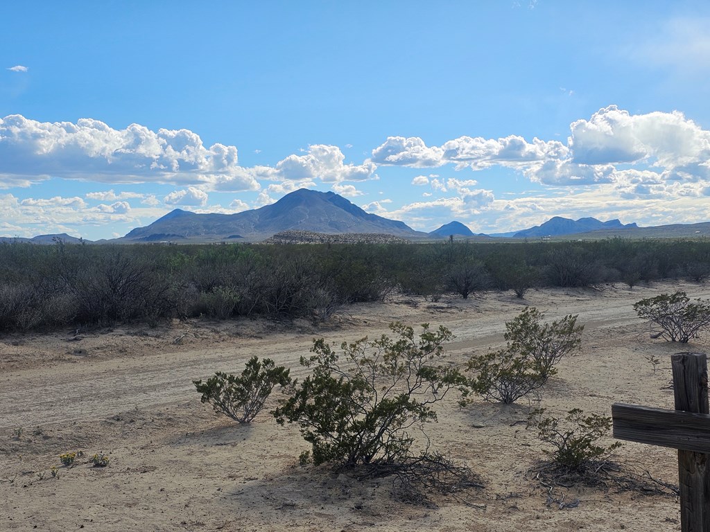 NC 777 Starry Night, Terlingua, Texas image 4