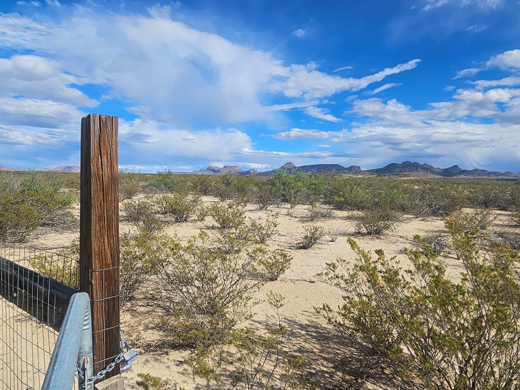 NC 777 Starry Night, Terlingua, Texas image 7