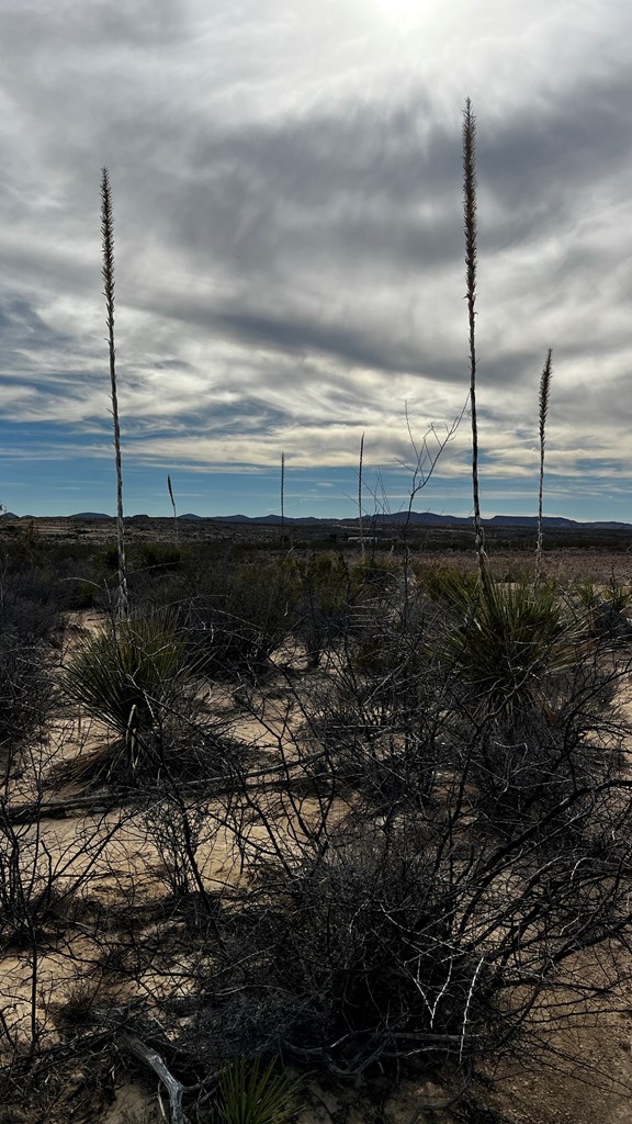 00 Rancho Manana Loop, Terlingua, Texas image 6