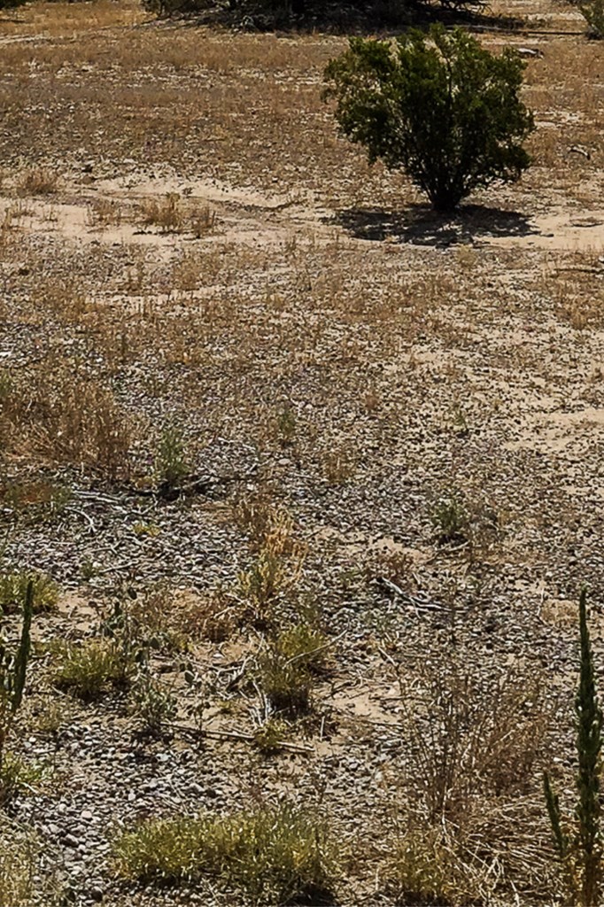 TBD Tbd, Terlingua, Texas image 2