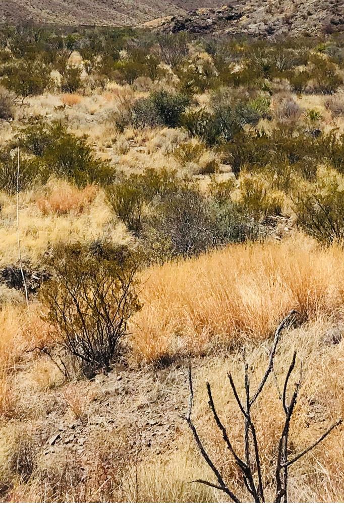 TBD Tbd, Terlingua, Texas image 1