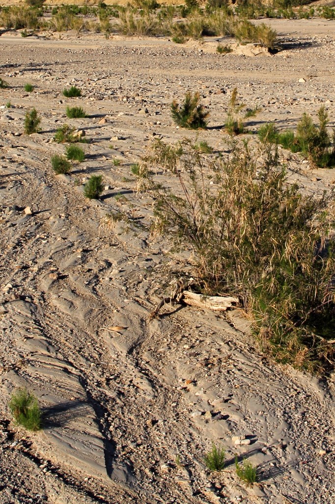 TBD Tbd, Terlingua, Texas image 3