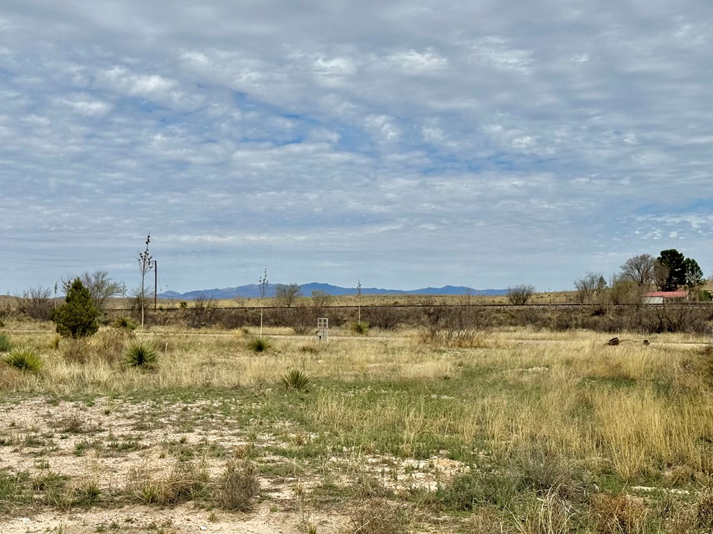 1506 W Fremont St, Marfa, Texas image 7