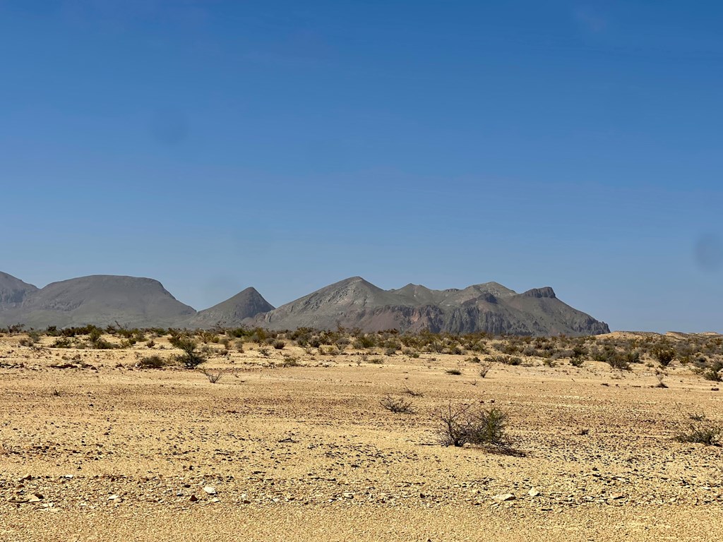 F 708 Wallace, Terlingua, Texas image 2