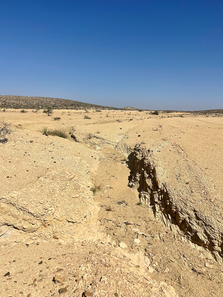 F 708 Wallace, Terlingua, Texas image 4