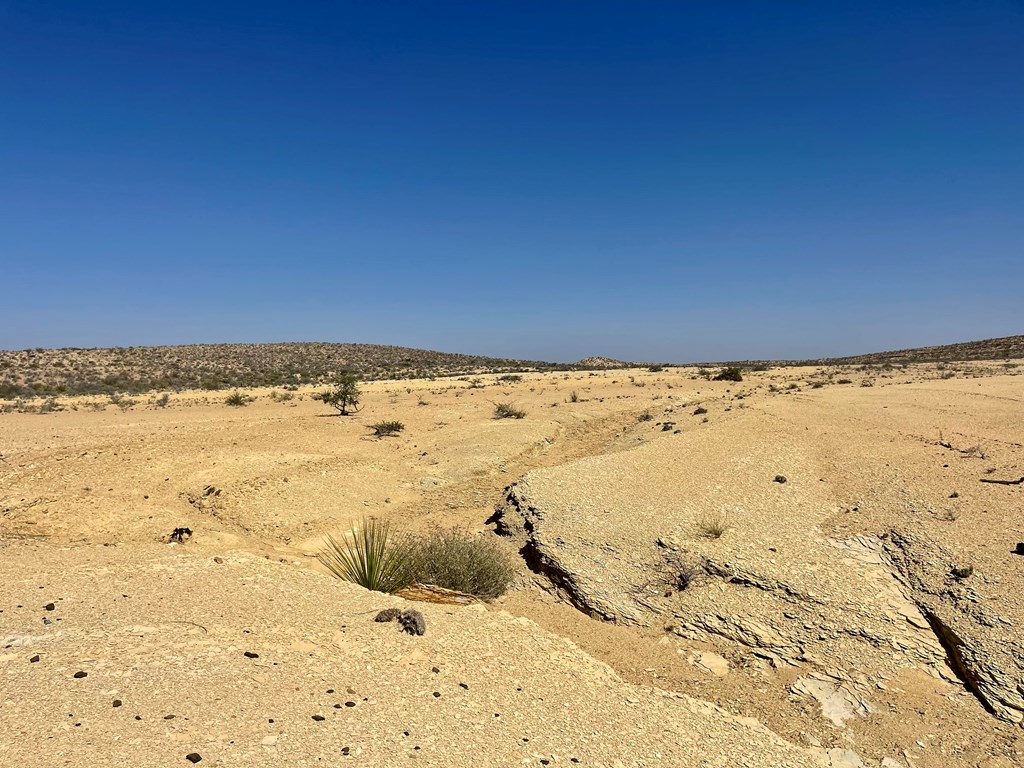 F 708 Wallace, Terlingua, Texas image 6