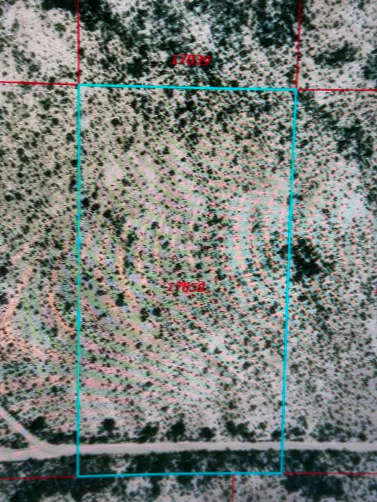 17058 Detour Ave, Terlingua, Texas image 1
