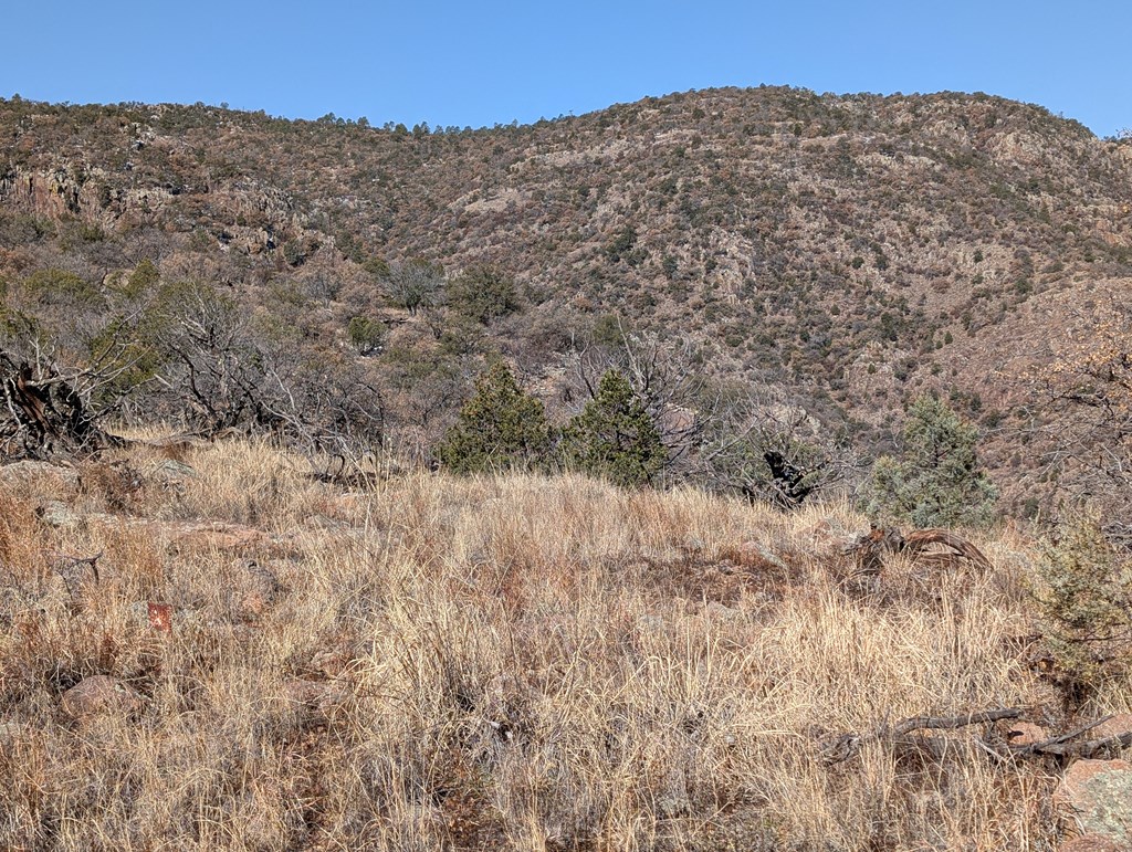 128 Skyline Dr, Fort Davis, Texas image 27