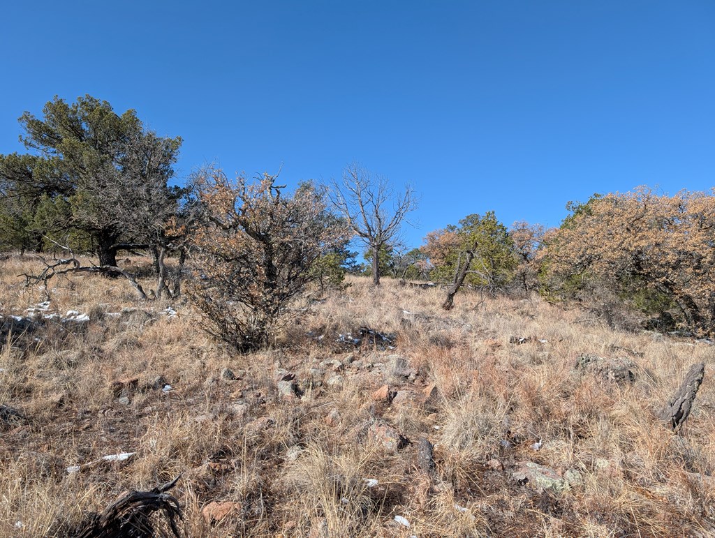 128 Skyline Dr, Fort Davis, Texas image 14