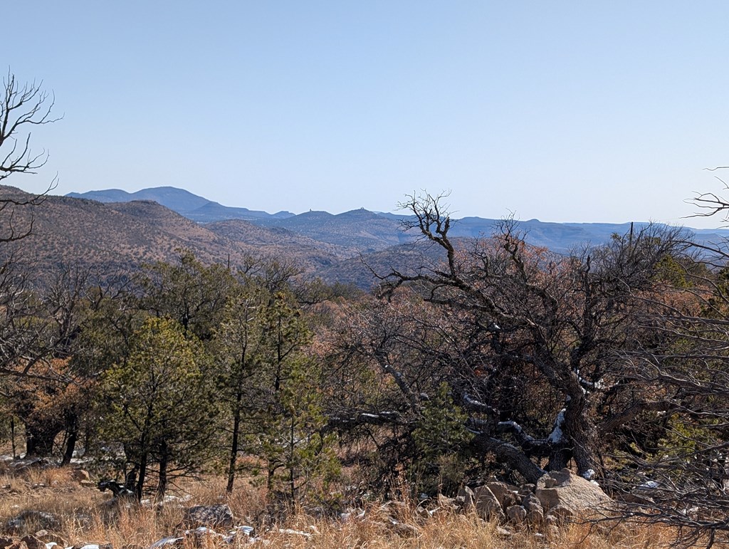 128 Skyline Dr, Fort Davis, Texas image 9