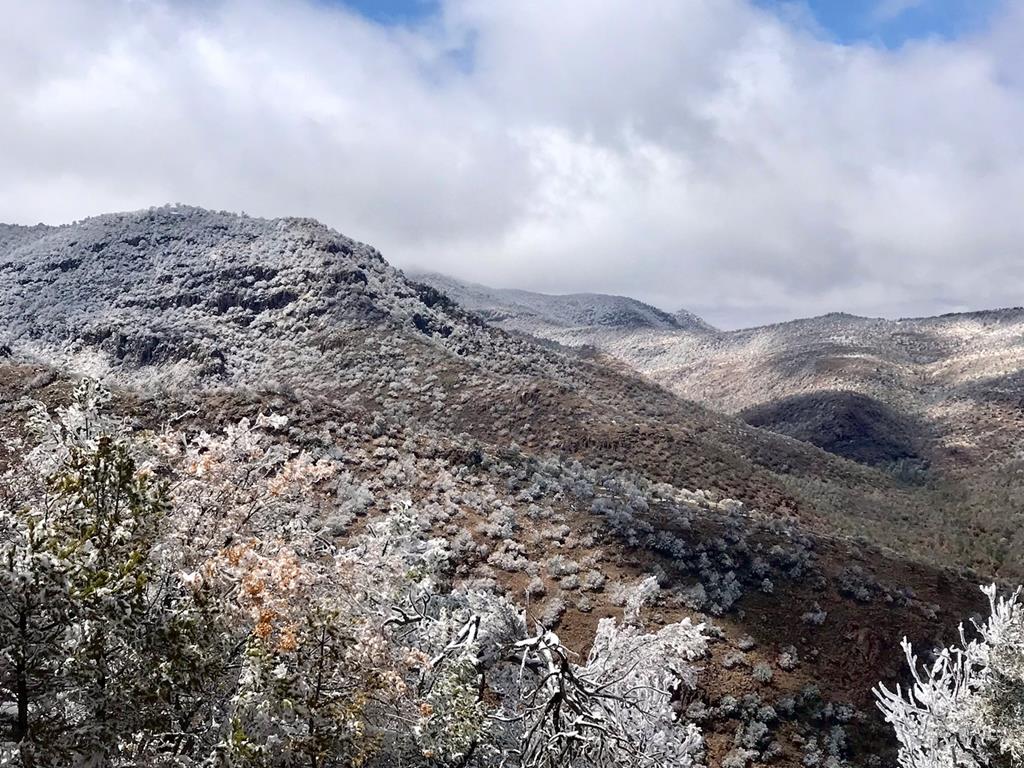 128 Skyline Dr, Fort Davis, Texas image 31