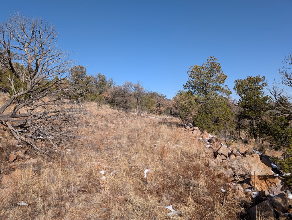 128 Skyline Dr, Fort Davis, Texas image 5