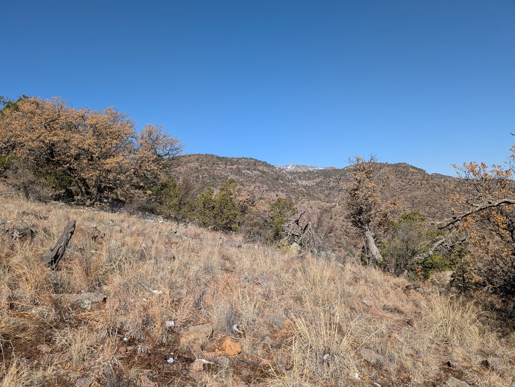 128 Skyline Dr, Fort Davis, Texas image 15