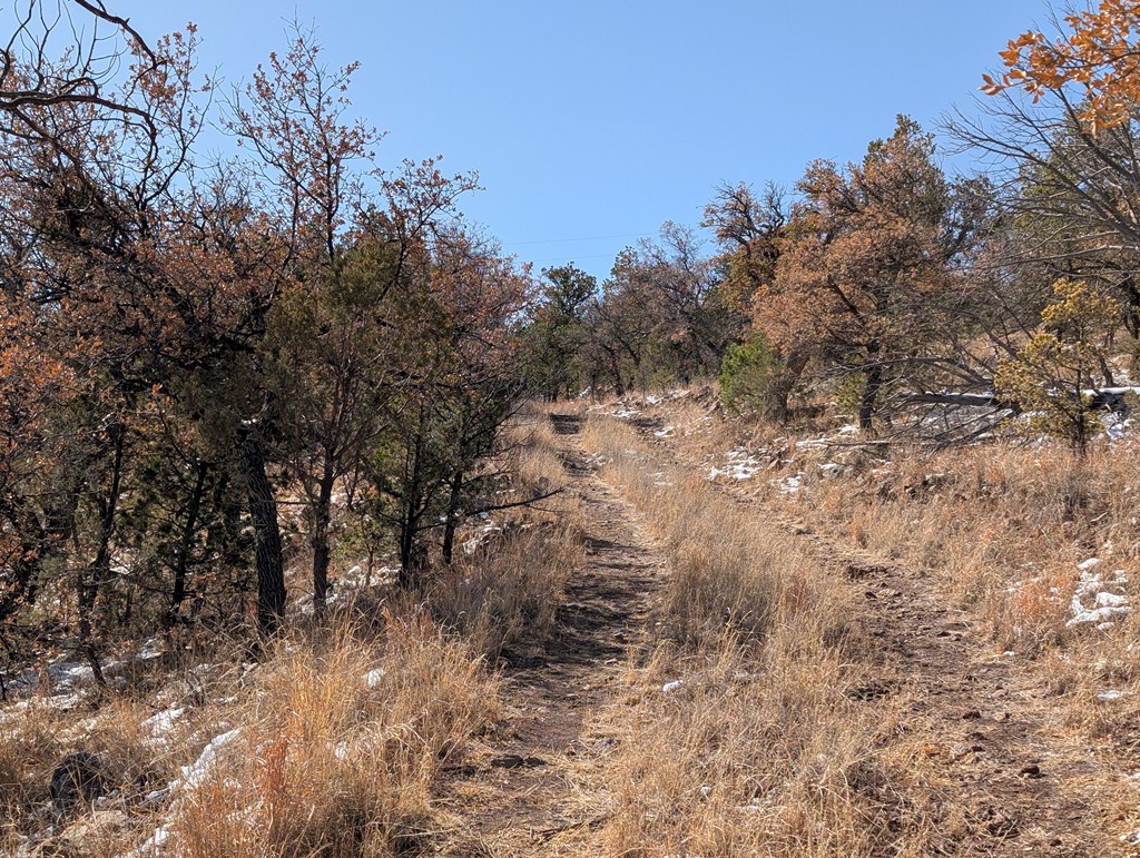 128 Skyline Dr, Fort Davis, Texas image 25