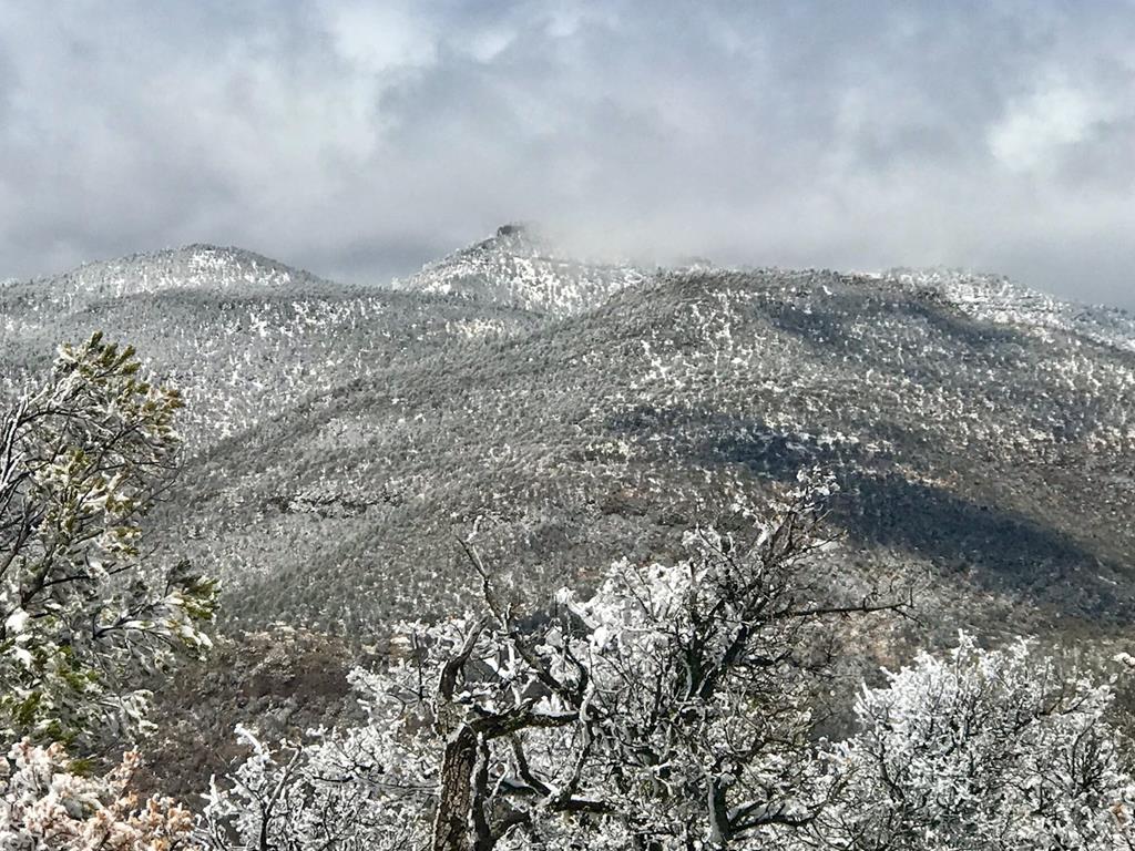 128 Skyline Dr, Fort Davis, Texas image 32