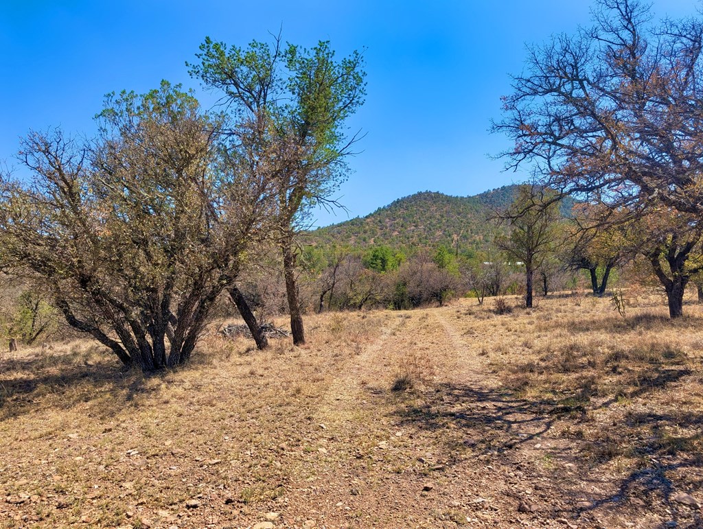 113 Six Shooter Gulch Ridge, Fort Davis, Alabama image 14